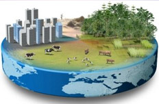 能源消費總量與效率