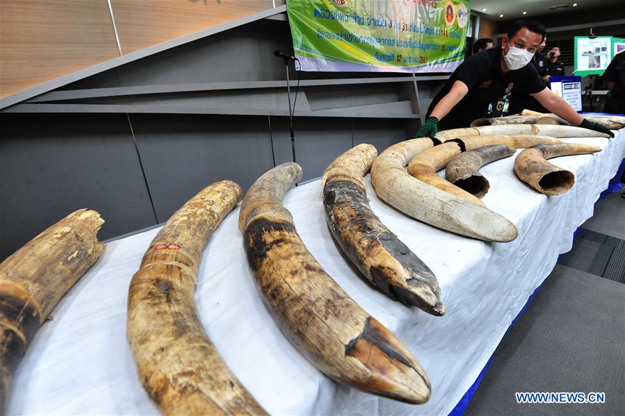 XINHUA PHOTO WEEKLY CHOICES