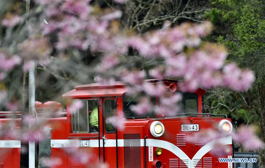 CHINA-ALI MOUNTAIN-SCENERY(CN)