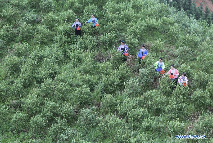 CHINA-GUANGXI-RONGSHUI-POVERTY RELIEF (CN)