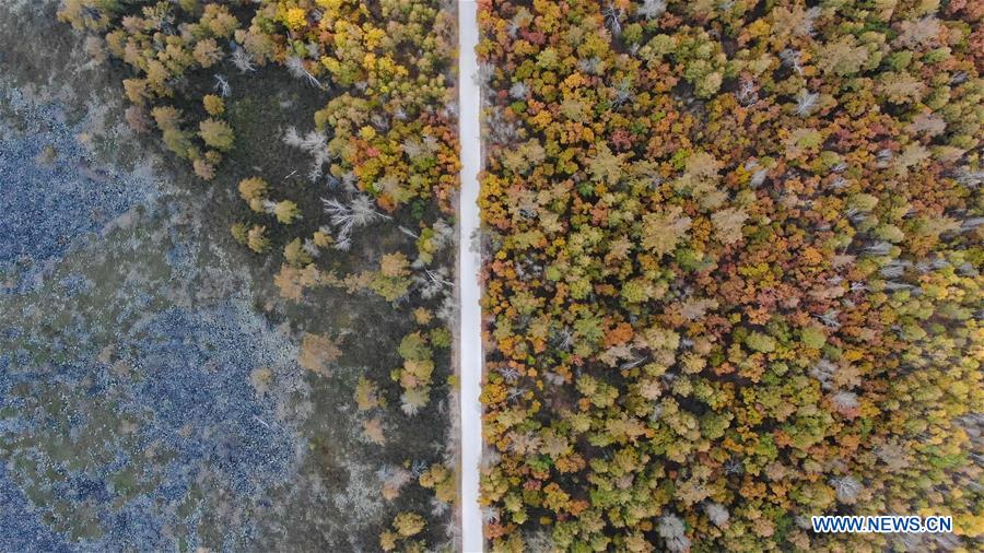 CHINA-INNER MONGOLIA-SCENERY(CN)