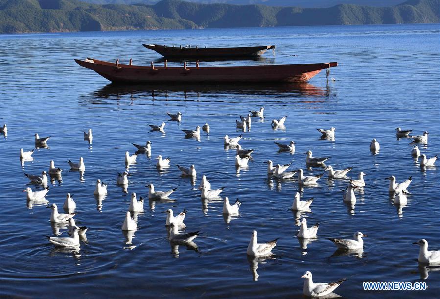 CHINA-YUNNAN-LUGU LAKE-SCENERY (CN)