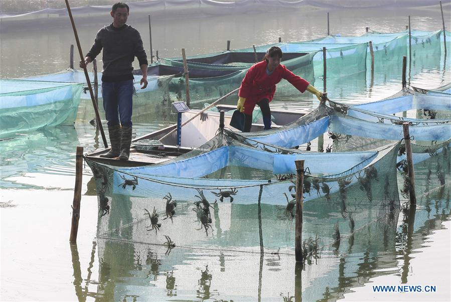 #CHINA-JIANGSU-HONGZE LAKE-CRAB-HARVEST (CN)