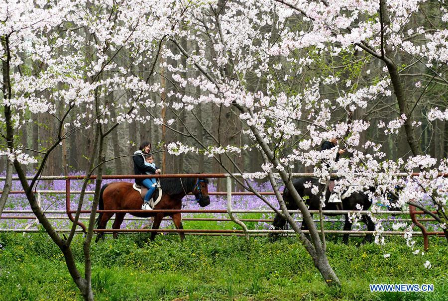 CHINA-SHANGHAI-CITY FOREST FLOWER EXHIBITION (CN)