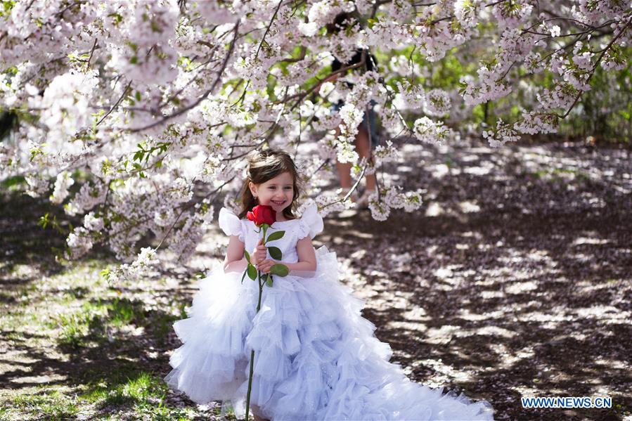 U.S.-NEW YORK-SPRING-SCENERY