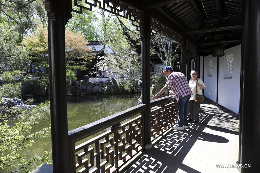 U.S.-NEW YORK-CHINESE SCHOLAR'S GARDEN-SPRING SCENERY