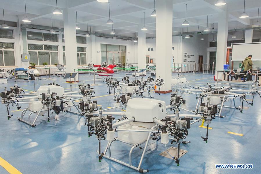 Xinhua Headlines: Three years on, China's northeast regains its shine