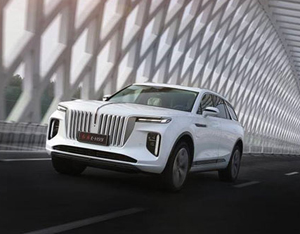 各美其美，美美與共&mdash;&mdash;2020中國企業(yè)家博鰲論壇品牌品鑒交流會側(cè)記