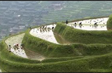 加大自然生態(tài)系統(tǒng)和環(huán)境保護(hù)力度