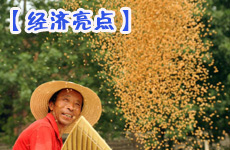 夏糧豐收 經(jīng)濟(jì)亮點提振信心
