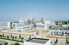 巨化集團:老國企煥發新生機