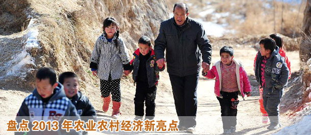 盤點2013年農業農村經濟新亮點