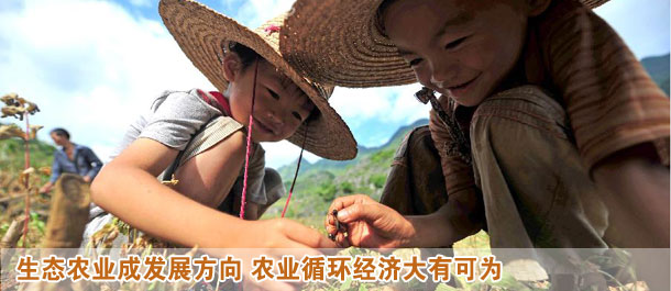 生態農業變身高富帥 農業循環經濟大有可為