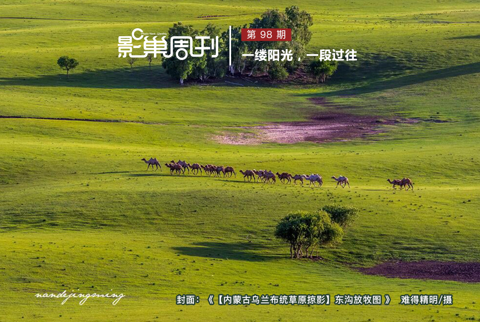 【內蒙古烏蘭布統(tǒng)草原掠影】東溝放牧圖