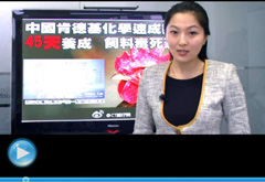 權(quán)威聲音：&ldquo;快時代&rdquo;究竟還有什么可以速成？