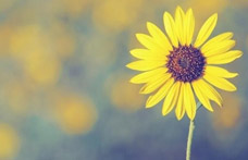 抗癌協會:對“癌癥性格”說“不”