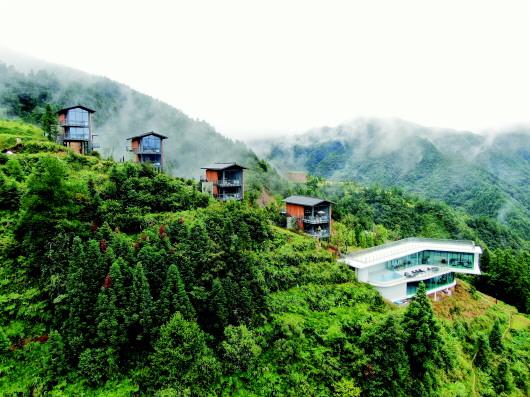 從貧困村到示范村 結(jié)對(duì)幫扶的&ldquo;龍?zhí)翗颖?rdquo;是如何煉成的