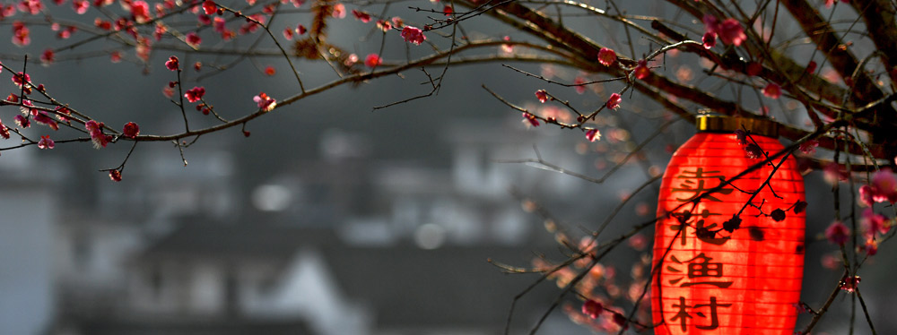 春來花開，綻放正當(dāng)時(shí)