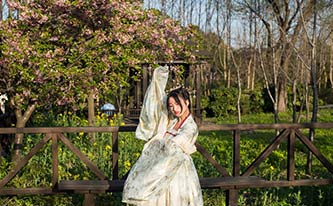 徜徉櫻花花海，來場動(dòng)漫之旅