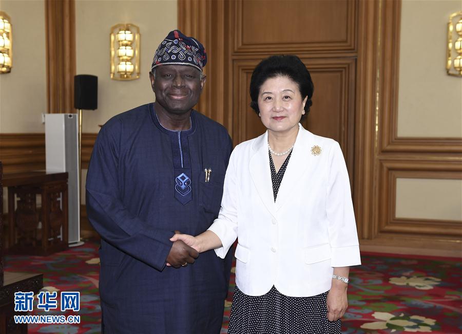 （XHDW）劉延東會見聯合國人口基金執行主任巴巴通德&middot;奧索蒂梅欣