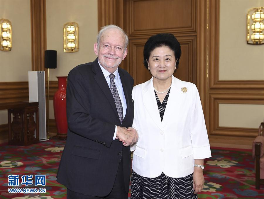 （XHDW）劉延東會見聯合國兒童基金會執行主任安東尼&middot;萊克