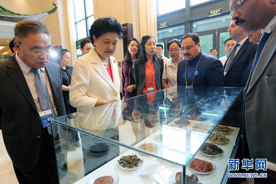 7月6日，金磚國家衛生部長會暨傳統醫藥高級別會議在天津開幕。這是國務院副總理劉延東與外賓一起參觀傳統醫藥文化展。 新華社記者 張玉薇 攝