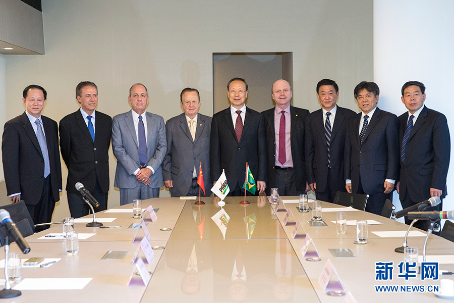 7月11日，在巴西首都巴西利亞，中共中央書記處書記、全國政協副主席杜青林（中）會見巴西民主運動黨總書記毛羅&middot;洛佩斯（左四）。新華社記者李明攝