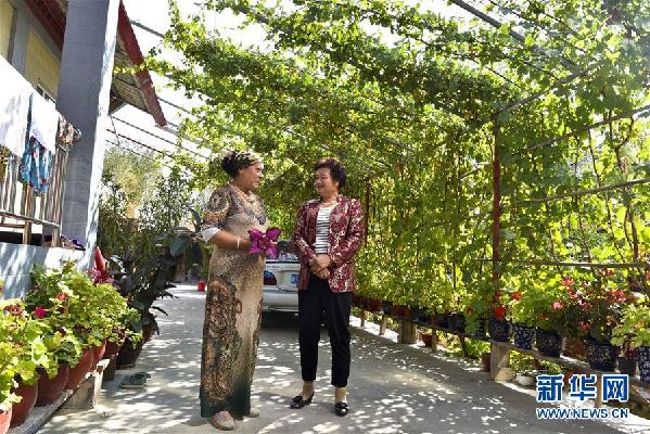 (十九大代表風采·圖文互動)(2)“農民”李元敏:打造村民引以為豪的新“蓋買”