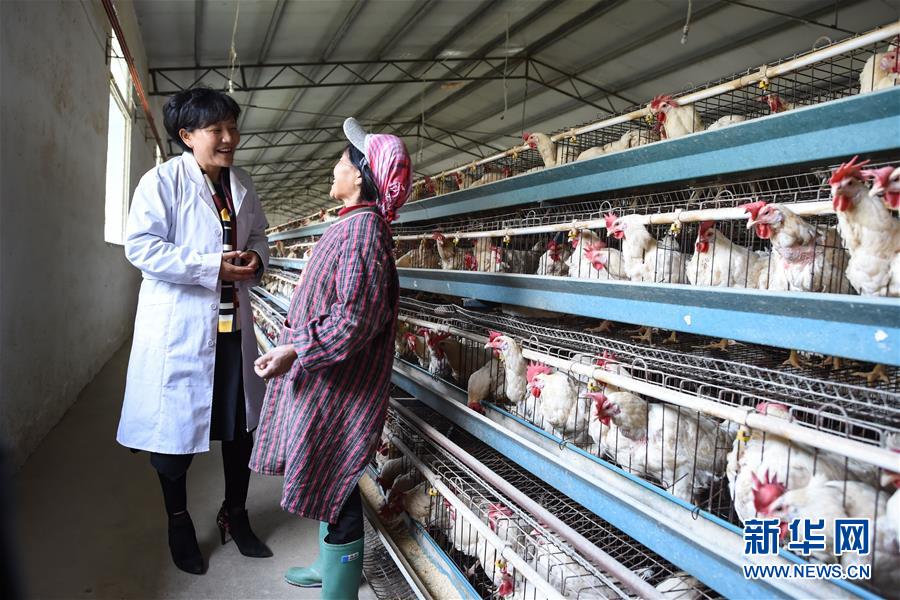 （十九大代表回基層&middot;圖文互動）（1）擺脫貧困后，還應有更高的精神追求&mdash;&mdash;十九大代表余留芬的&ldquo;宣講時光&rdquo;