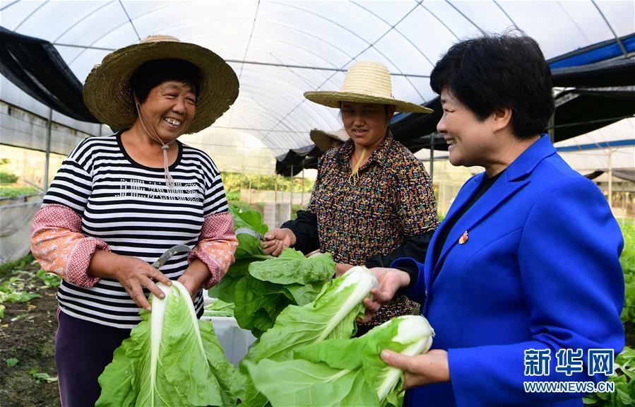 (十九大代表在基層·圖文互動)(3)沈騰香:保護(hù)好綠水青山 圓鄉(xiāng)親們小康夢