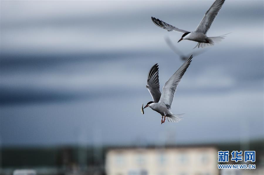 (圖文互動)(10)奏響新時代偉大復(fù)興的壯麗樂章——寫在“中國夢”提出五周年之際