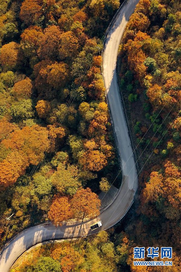 (新華全媒頭條·新時代新氣象新作為·圖文互動)(9)抬腳踏上水泥路,出門坐上公交車——我國竭力破除農村交通“最后一公里”瓶頸