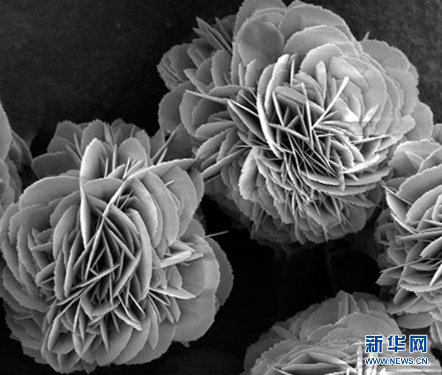 （新時代奮斗者&middot;圖文互動）（3）&ldquo;美麗發現&rdquo;之路&mdash;&mdash;記青年化學家戈鈞