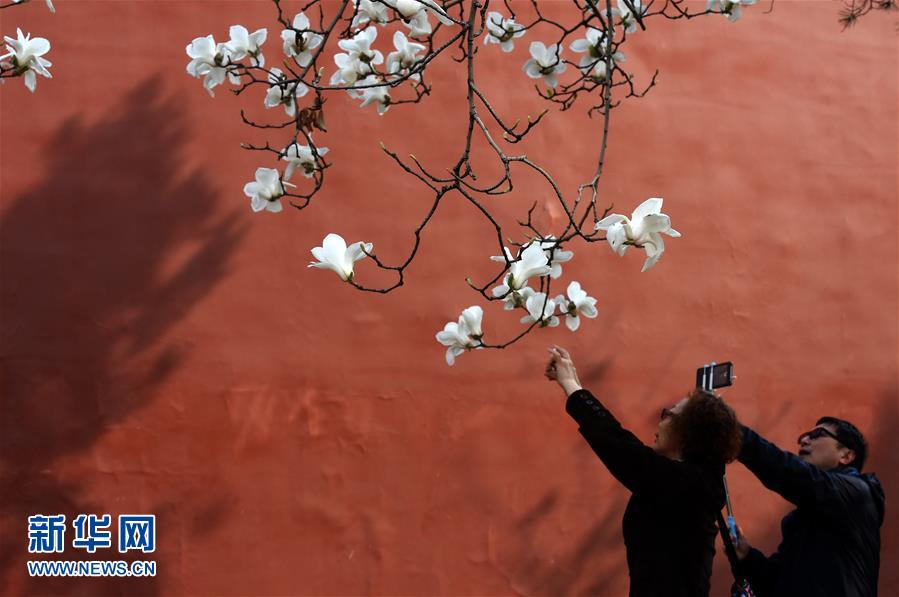 (在習近平新時代中國特色社會主義思想指引下——新時代新氣象新作為·新華全媒頭條·圖文互動)(1)最濃是這中國紅——北京市西城區(qū)弘揚紅墻意識深化改革發(fā)展紀實