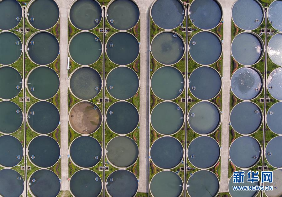 （天空之眼）（3）&ldquo;天空之眼&rdquo;瞰雅安