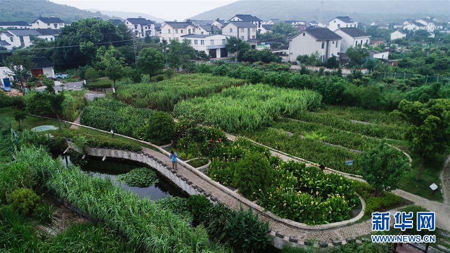 (在習(xí)近平新時(shí)代中國(guó)特色社會(huì)主義思想指引下——新時(shí)代新作為新篇章·圖文互動(dòng))(1)稀奇!治污濕地成了休閑公園——江蘇蘇州全域推進(jìn)農(nóng)村生活污水治理