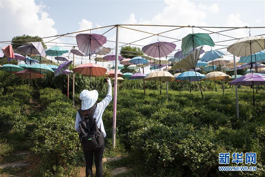 （大江奔流&mdash;&mdash;來自長江經濟帶的報道&middot;圖文互動）（4）在這里，做一個幸福的農民