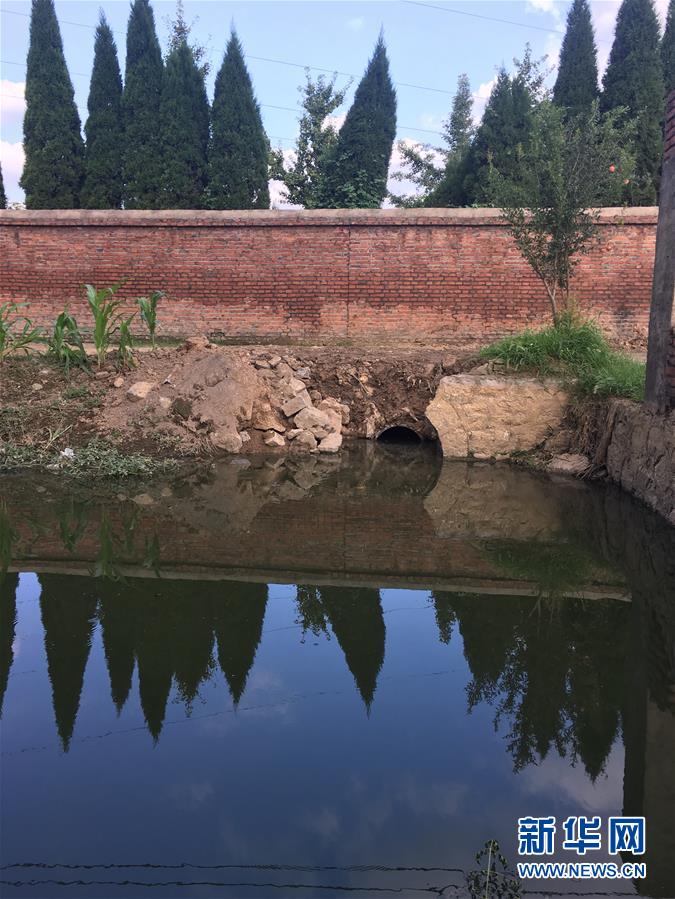 (新華視點·圖文互動)(3)上游洪水來襲下游魚蟹死亡,泄洪為何變泄污?