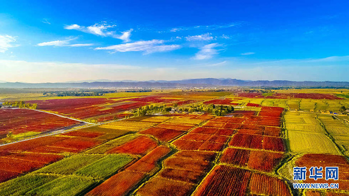 秋收的中國，你想象不到的美！但更美的是&hellip;&hellip;