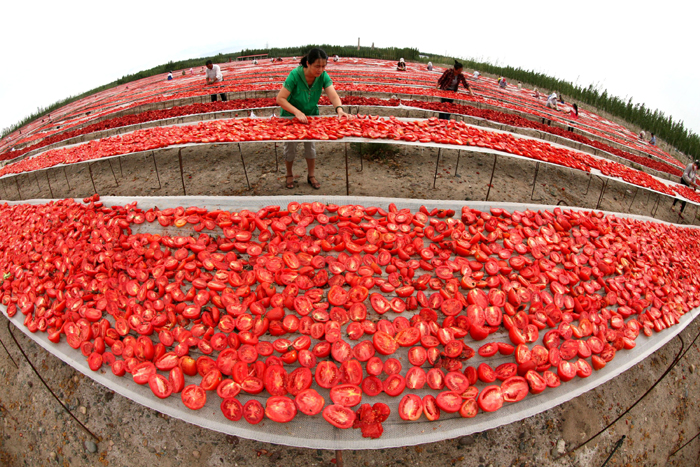 秋收的中國，你想象不到的美！但更美的是&hellip;&hellip;