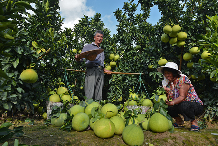 秋收的中國，你想象不到的美！但更美的是&hellip;&hellip;