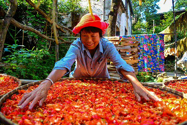 秋收的中國，你想象不到的美！但更美的是&hellip;&hellip;