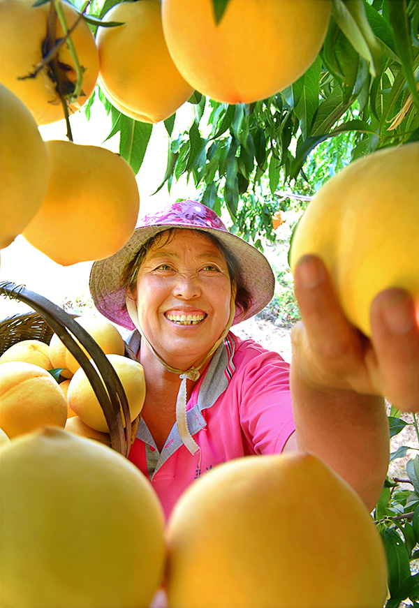 秋收的中國，你想象不到的美！但更美的是&hellip;&hellip;
