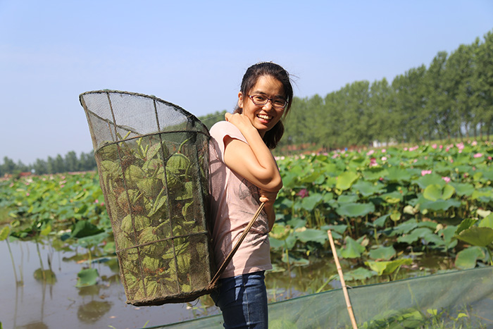 秋收的中國，你想象不到的美！但更美的是&hellip;&hellip;