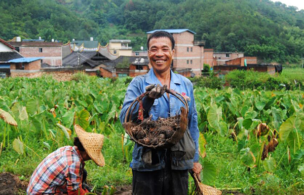 秋收的中國，你想象不到的美！但更美的是&hellip;&hellip;