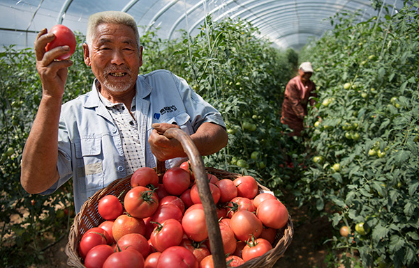 秋收的中國，你想象不到的美！但更美的是&hellip;&hellip;