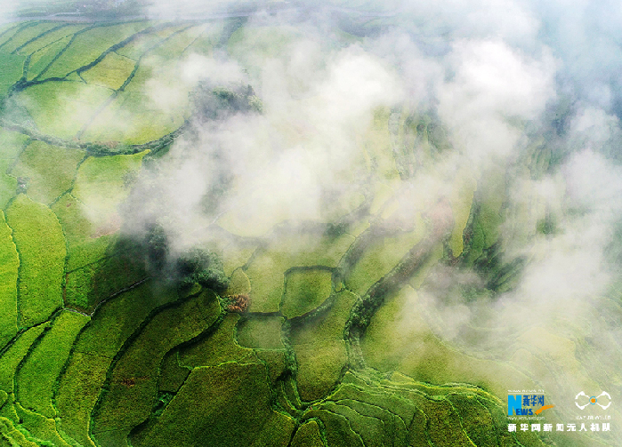 秋收的中國，你想象不到的美！但更美的是&hellip;&hellip;