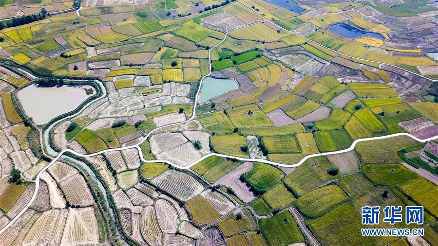 （新華全媒頭條&middot;圖文互動）（8）希望灑在金色田野&mdash;&mdash;寫在鄉村振興戰略實施一周年之際