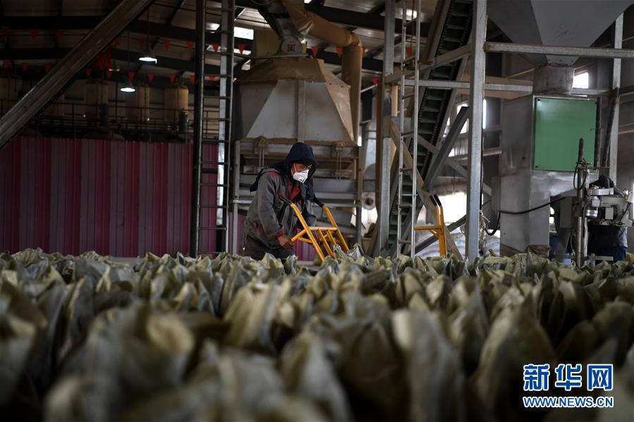 （在習近平新時代中國特色社會主義思想指引下&mdash;&mdash;新時代新氣象新作為&middot;鄉村振興戰略&middot;圖文互動）（1）&ldquo;與其放火，不如打包&rdquo;&mdash;&mdash;山西渾源秸稈綜合再利用見聞