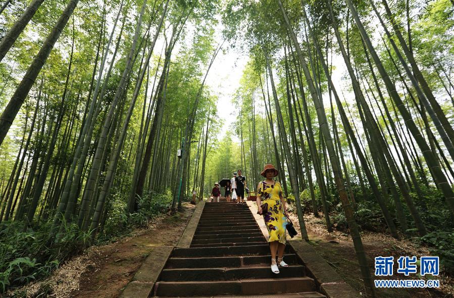 (在習近平新時代中國特色社會主義思想指引下·慶祝改革開放40周年·綠色發展·圖文互動)(1)向陽花木易為春——綠色發展之“木”的故事